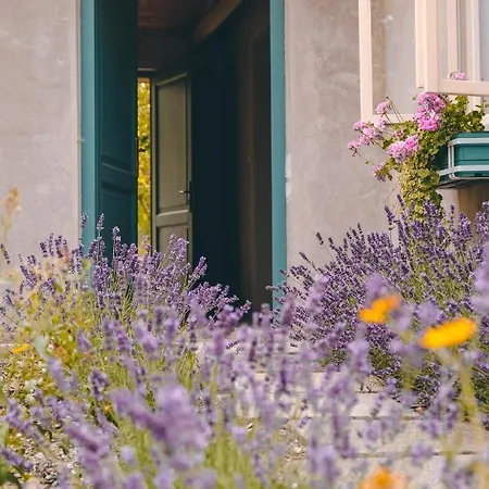 Domecek Na Kvetinovem Statku * Zdice