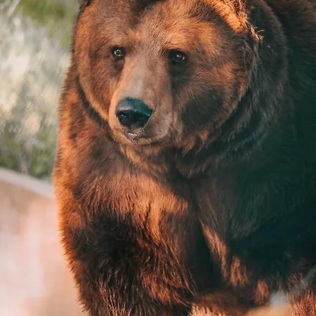 Domecek Na Kvetinovem Statku 別荘