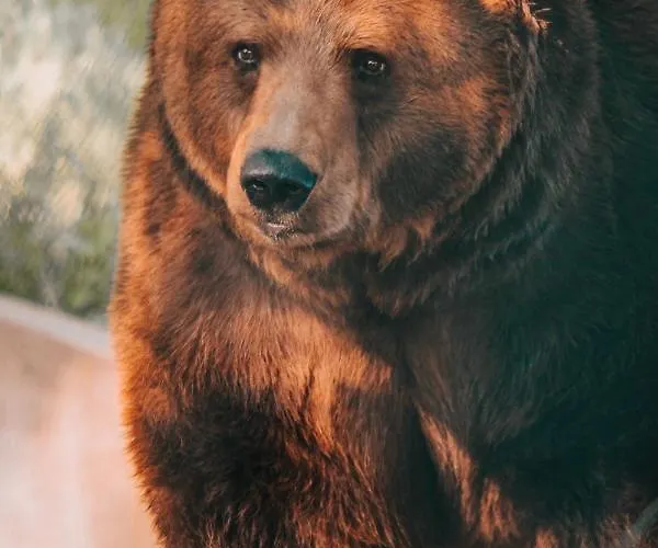 Domecek Na Kvetinovem Statku Nyaraló
